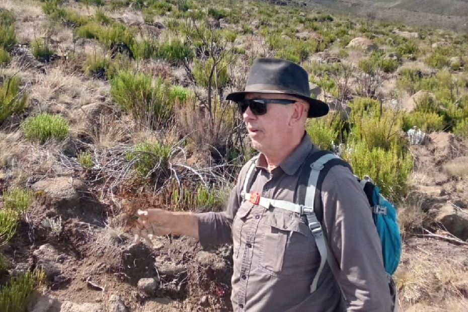 7 days Machame Route Kilimanjaro Hiking