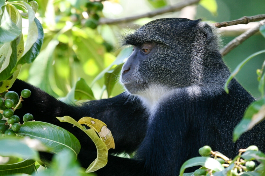 Arusha National Park: Gateway to Tanzania’s Natural Wonders