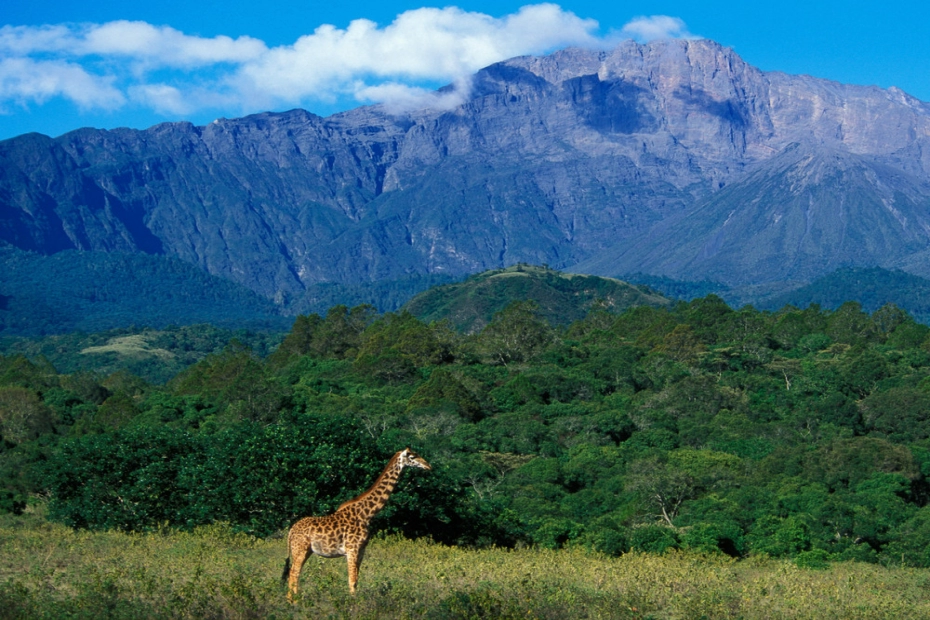 Mount Meru: Tanzania’s Hidden Gem for Adventurers