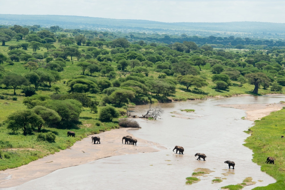 Tarangire National Park: Hidden Gem of Tanzania’s Wildlife